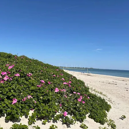 8 Person In Sydals Sarup