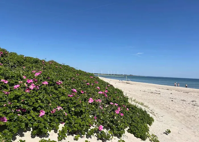 8 Person In Sydals Sarup